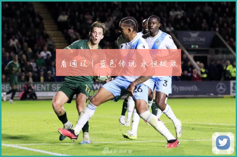 看通辽丨蓝色传说 永恒绽放