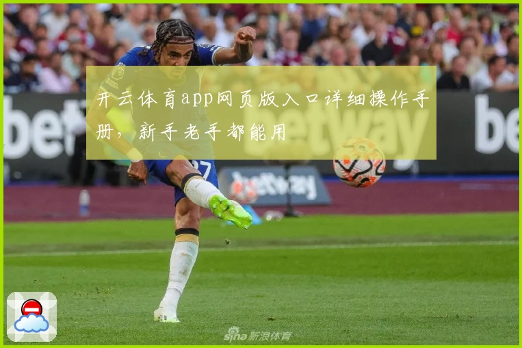 开云体育app网页版入口详细操作手册，新手老手都能用